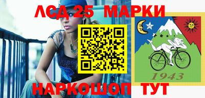 стафф Аргун