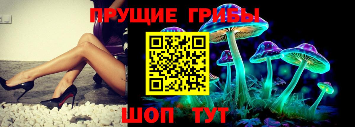 Борзя  Псилоцибиновые грибы MAGIC MUSHROOMS  продажа наркотиков  Вход с VPN 